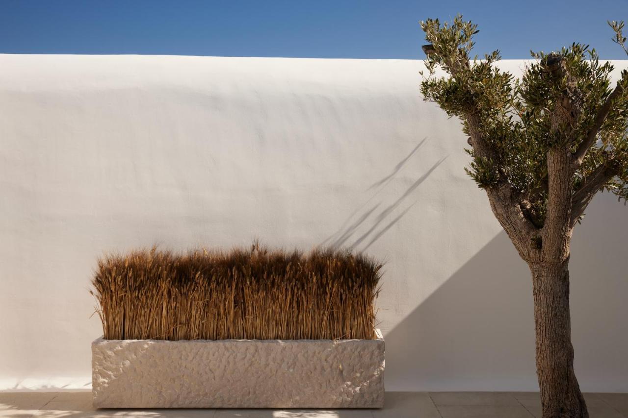Kalesma Mykonos Hotel Ornos  Eksteriør billede